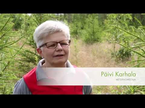 UPM kokeneen metsänomistaja Päivi Karhalan kumppanina  - UPM Metsä