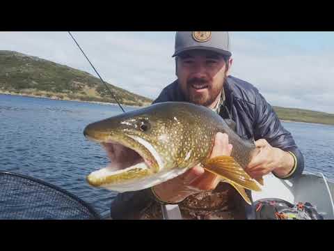 Lake Trout on the Fly at Aylmer Lake Lodge
