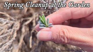 Spring Cleanup at the Garden