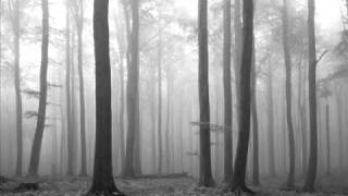 Cemetery Of Screams - Melancholy