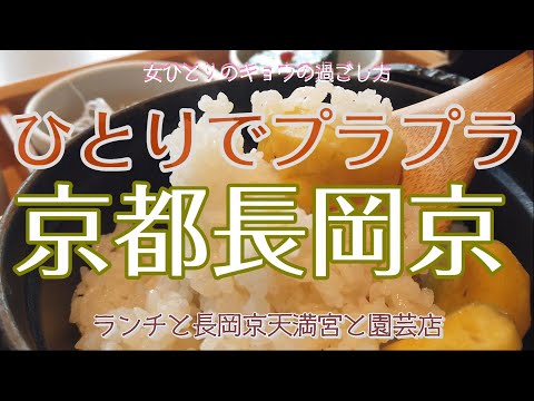 [Edición Kyoto Rakusai: Mujer conduciendo sola] Purapura Nagaokakyo sola / Arroz con castañas en una cocotte en Kokura Sanso / Santuario Nagaoka Tenmangu / Waffles en Matsuo Engei | Vlog diario de una mujer que vive en Kioto