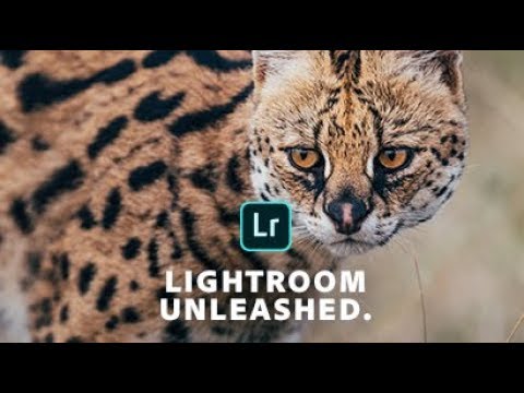 Lightroom Unleashed - Edit on Your Mobile With the Crop & Brush Tool & Vignette I Adobe UK