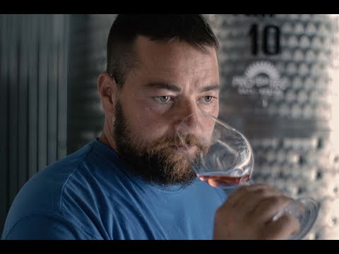 Wie ein Phoenix aus der Asche