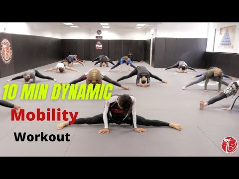 Dynamic Stretching Workout for Jiu Jitsu | Cobrinha BJJ