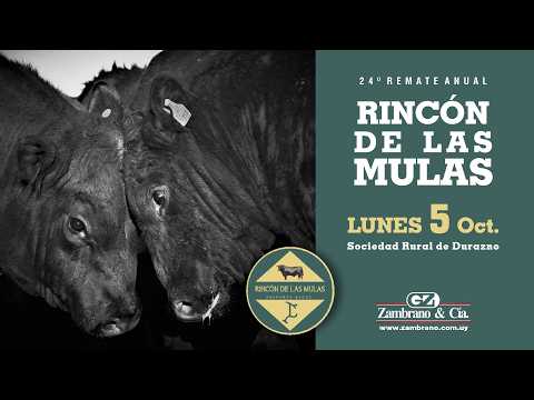 05-10-26 RINCÓN DE LAS MULAS