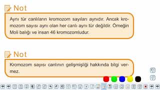 Eğitim Vadisi TYT Biyoloji 6.Föy Canlılar Dünyası 1 (Canlıların Çeşitliliği ve Sınıflandırılması) Konu Anlatım Videoları