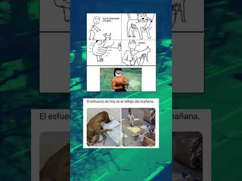 Meme del gatogun y el perro capataz