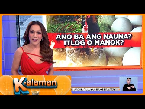 K-alaman: Ano nga ba ang mas nauna, itlog o manok? Frontline Pilipinas