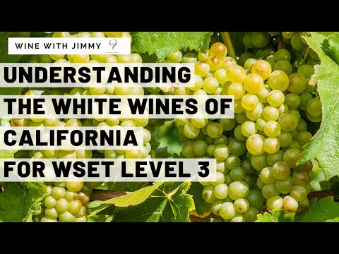 WSET Level 3 California Part 3 Chardonnay and Sauvignon Blanc