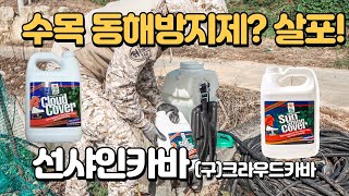 【겨울나무월동팁】 수목 동해방지제 살포 선샤인카바 (구)크라우드카바 