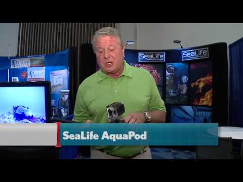 Gear Crazy at the 2014 Miami Boat Show - SeaLife AquaPod