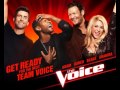 Shakira Blake Shelton Need You Now AUDIO