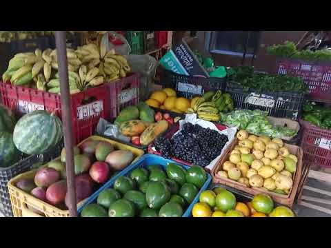 Feira de jardim ceará 
