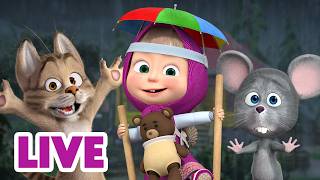 🔴 LIVE STREAM 🎬 Masha and the Bear 💦☔ It’s Raining Cats and Dogs! 🐶😹