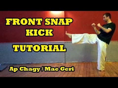 Front kick (Snap)Best In depth tutorial - Mae Geri - Ap Chagy