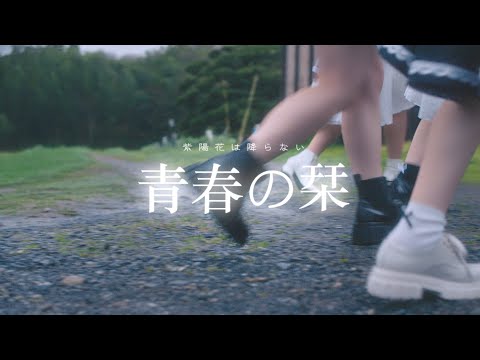 紫陽花は降らない 『青春の栞』- ミュージックビデオ