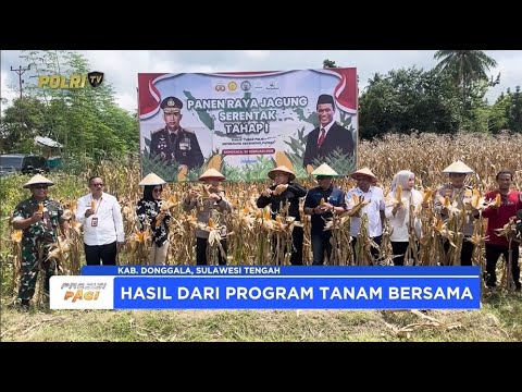 KAPOLDA SULTENG PIMPIN PANEN RAYA JAGUNG SERENTAK DUKUNG ASTA CITAKAPOLDA SULTENG PIMPIN PANEN RAYA JAGUNG SERENTAK DUKUNG ASTA CITA