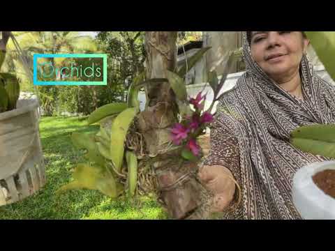 FLORA'22- INDOOR COLLECTIONS BY SHAREENA RASHEED, VYPIN