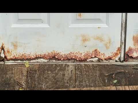Nest of Yellow Jackets Harboring Under the Shed Ramp in Tinton Falls, NJ