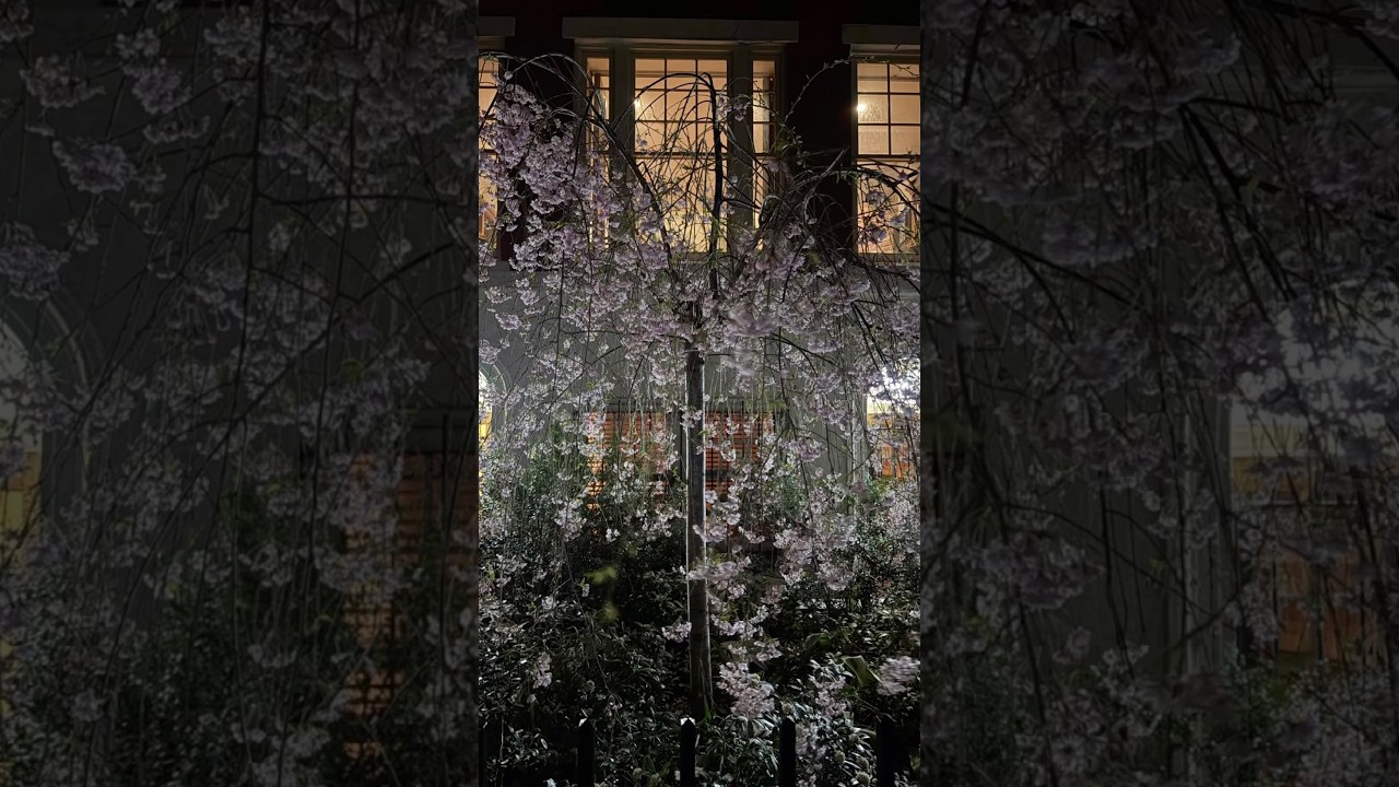 #inspo #art #nyc #april