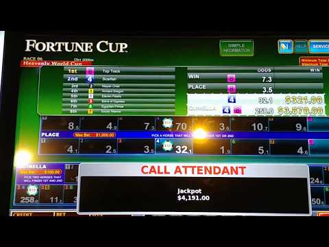 $4,191 Fortune Cup horse racing slot machine hits another long shot on some crazy bets