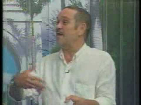 ABC 4x1 AGOVV (Holanda)