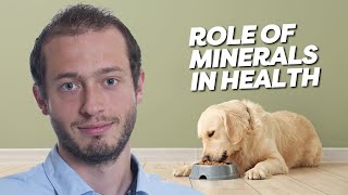 Dr. Gavin Boerboom: Trace Mineral Nutrition
