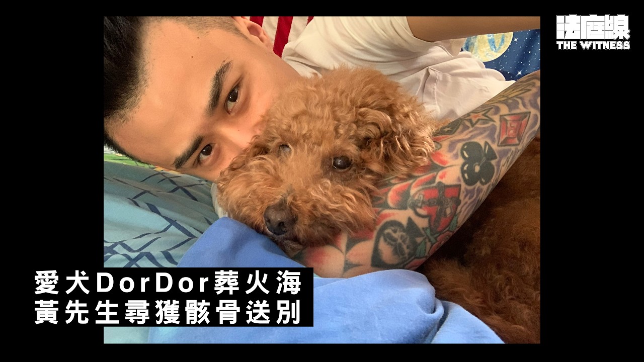 宏福苑居民回家｜上月錯過愛犬遺骸　黃生偕善終公司再上樓成功尋獲：終於可以接你走