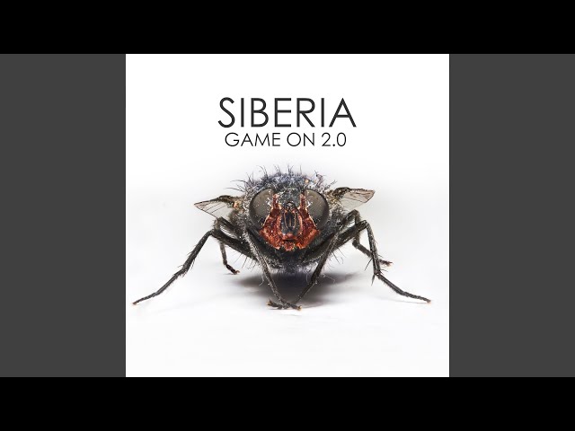 Aspettando l'uscita del nuovo album, intervistiamo i Siberia