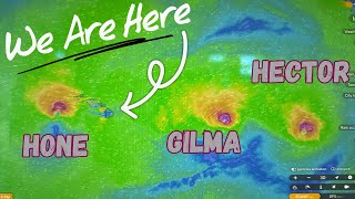 Hurricane Damage Assessment | 2 More Storms Coming | Hamakua Homestead Vlog