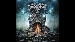 Borknagar- Winter Thrice Album Review