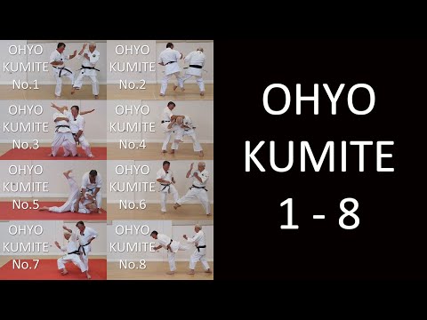 Ohyo Kumite 1 - 8
