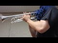 Smoke Gets In Your Eyes Trumpet Cover