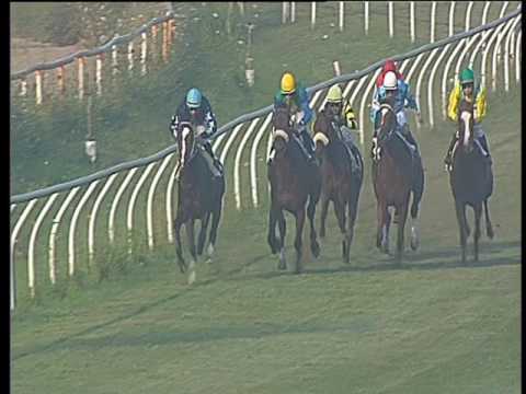 Galoppo 12/07/2017 - 2ª corsa