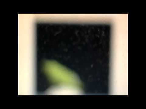 Game and Watch 2012- Powder Game PC