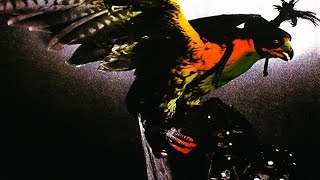 Budgie In For The Kill