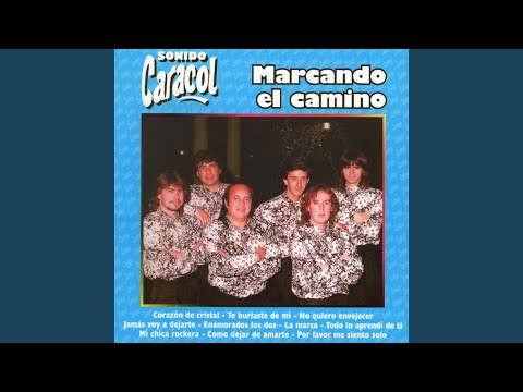 Todo Lo Aprendí de Ti