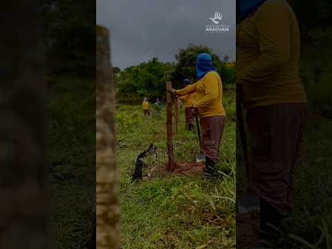 COORDENAÇÃO DO JUNTOS PELO ARAGUAIA ACOMPANHA AÇÕES DE CERCAMENTO EM MONTES CLAROS DE GOIÁS