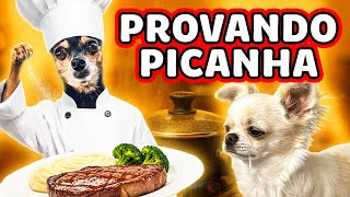 NÓS COZINHAMOS PICANHA PROS DOGS… E A REAÇÃO FOI SURPREENDENTE! 🍖🐶