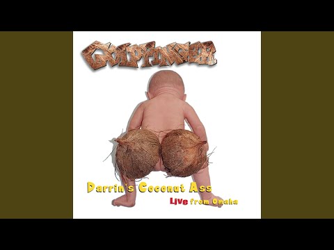 The Kids Are Alright cover