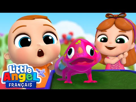 Mes amis les reptiles: Tortue, lézard, caméléon -  Comptines pour Bébé | Little Angel Français