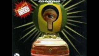 Eightball &amp; MJG - Sesshead Funk Junky 1994