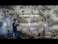 Cenote Diving Mexico , riviera Maya, deutsche Tauchschule in Playa del Carmen bietet neben dem Tauchen in Playa del Carmen ebenfalls Tauchgänge in den Cenoten, Deep Dive Mexico, Mexiko