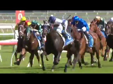 Yankee Rose Great Win Inglis Sires 2016