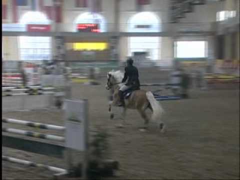 Manuela Orgler & "Wonderful"