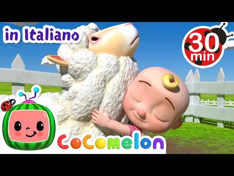 Nella vecchia fattoria | CoComelon Italiano - Canzoni per Bambini