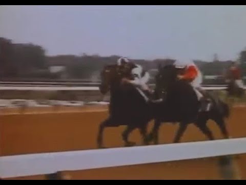 Match 1975 - Ruffian vs Foolish Pleasure