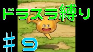 テリーのワンダーランド　ドラスラ縛りでゆっくり実況♯9