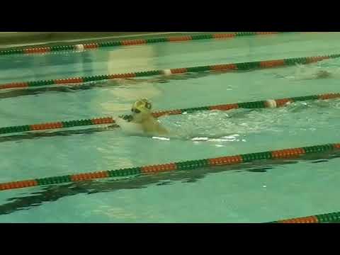 2019 - 01.20 100 Breast, Deo swims in 1:26.43 at Wheeler HS