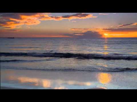 Mango pres. Shoreliners - Handelskai (Part II) (Music Video)